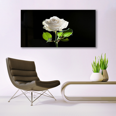 Image sur verre acrylique Rose floral blanc