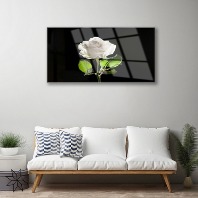 Image sur verre acrylique Rose floral blanc