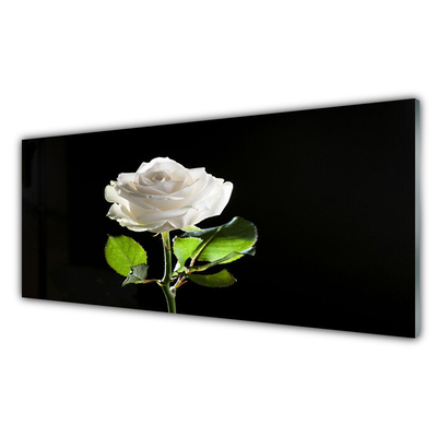 Image sur verre acrylique Rose floral blanc