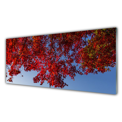 Image sur verre acrylique Branches feuilles floral brun
