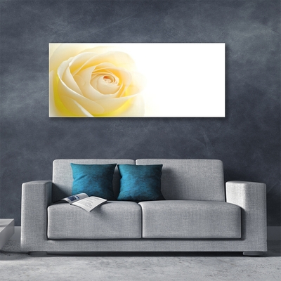 Image sur verre acrylique Rose floral blanc jaune
