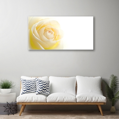 Image sur verre acrylique Rose floral blanc jaune