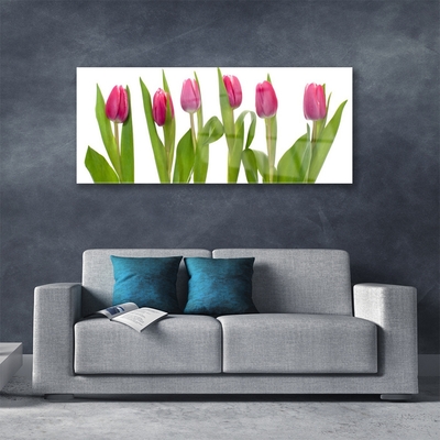 Image sur verre acrylique Tulipes floral rouge