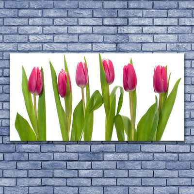 Image sur verre acrylique Tulipes floral rouge