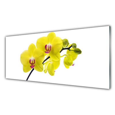 Image sur verre acrylique Fleurs floral vert