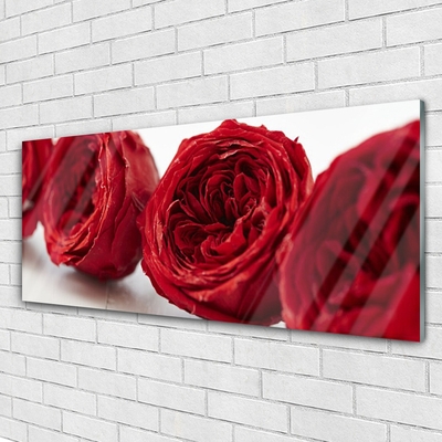 Image sur verre acrylique Roses floral rouge