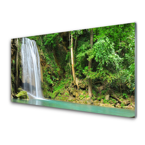 Image sur verre acrylique Forêt chute d'eau nature blanc bleu brun vert