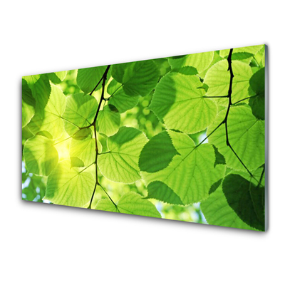 Image sur verre acrylique Feuilles floral vert brun