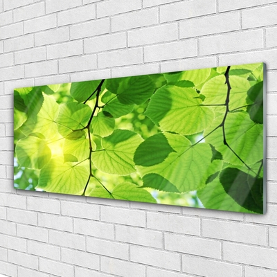 Image sur verre acrylique Feuilles floral vert brun