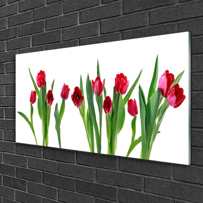 Image sur verre acrylique Tulipes floral rouge