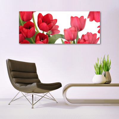 Image sur verre acrylique Tulipes floral rouge