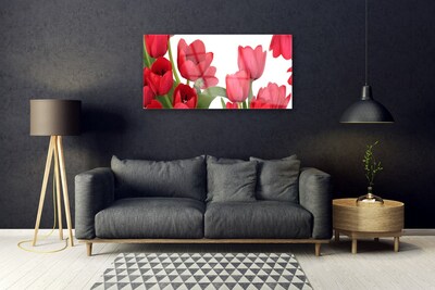 Image sur verre acrylique Tulipes floral rouge