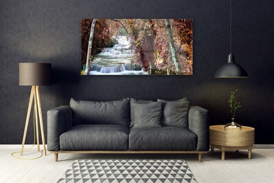 Image sur verre acrylique Forêt chute d'eau nature blanc brun
