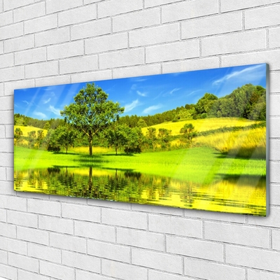 Image sur verre acrylique Arbre prairie nature vert brun