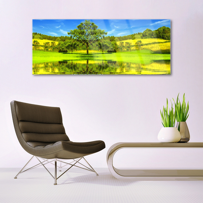 Image sur verre acrylique Arbre prairie nature vert brun