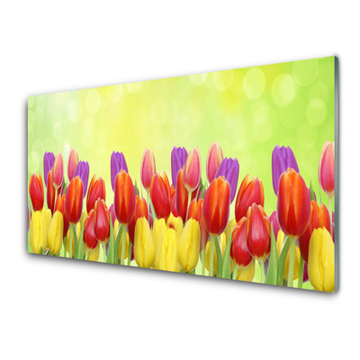Image sur verre acrylique Tulipes floral jaune rouge rose