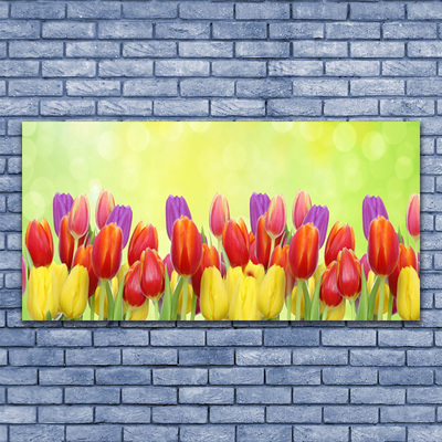 Image sur verre acrylique Tulipes floral jaune rouge rose