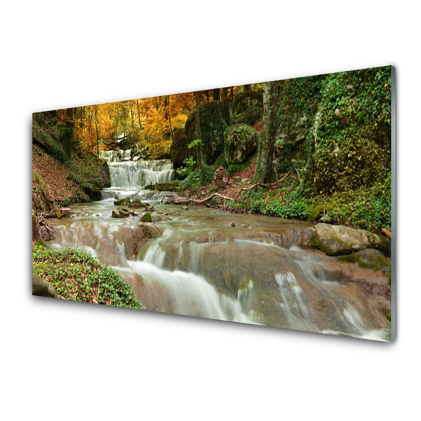 Image sur verre acrylique Forêt chute d'eau nature brun vert
