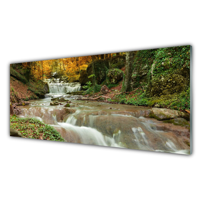 Image sur verre acrylique Forêt chute d'eau nature brun vert