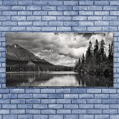 Image sur verre acrylique Montagnes forêt lac nature gris