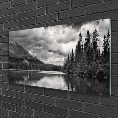 Image sur verre acrylique Montagnes forêt lac nature gris