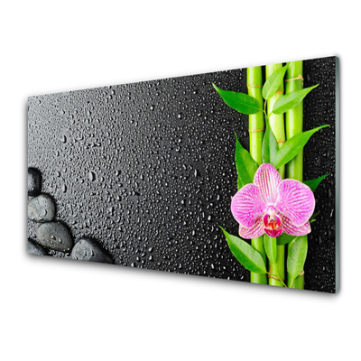 Image sur verre acrylique Pierres fleurs bambou floral vert rose noir