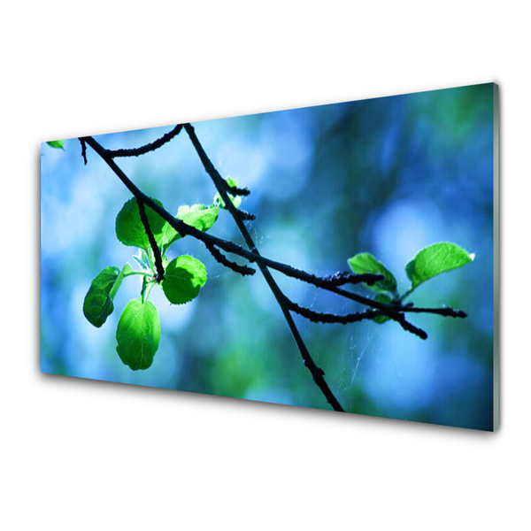 Image sur verre acrylique Feuilles branche floral noir vert