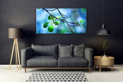 Image sur verre acrylique Feuilles branche floral noir vert