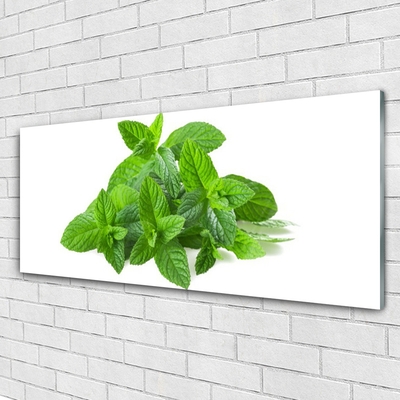 Image sur verre acrylique Menthe floral vert