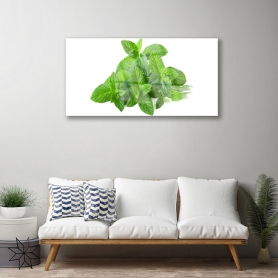 Image sur verre acrylique Menthe floral vert