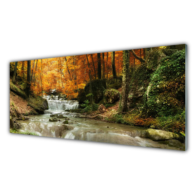 Image sur verre acrylique Forêt chute d'eau nature vert brun jaune