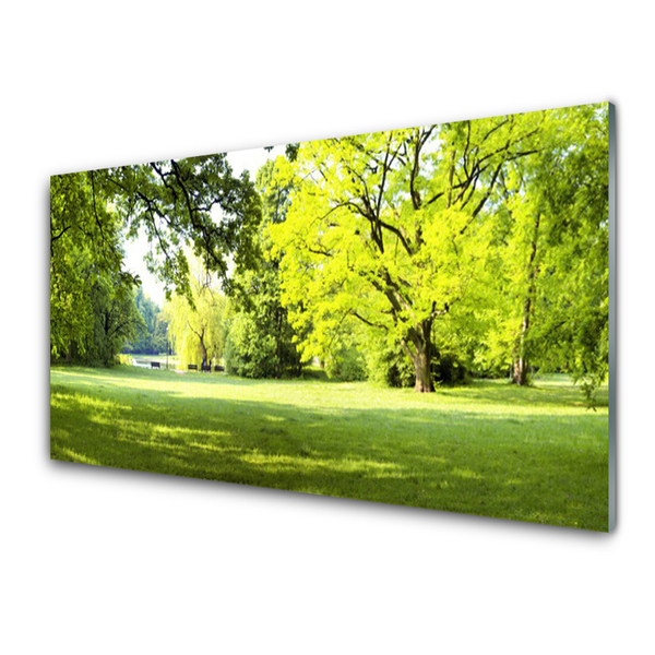 Image sur verre acrylique Arbres herbe nature vert brun