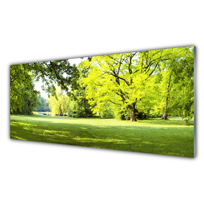 Image sur verre acrylique Arbres herbe nature vert brun