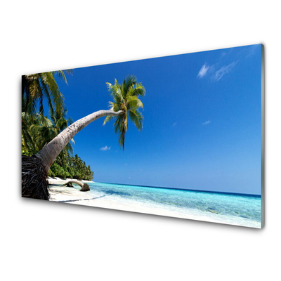 Image sur verre acrylique Mer plage palmier paysage brun vert bleu