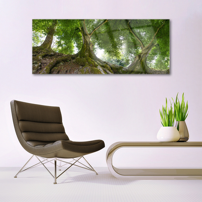 Image sur verre acrylique Arbres nature brun vert