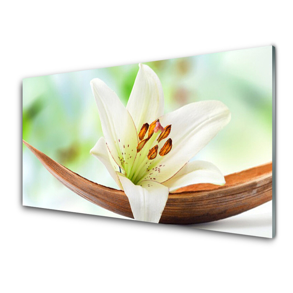 Image sur verre acrylique Fleur floral blanc