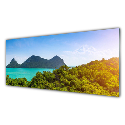 Image sur verre acrylique Montagnes arbres mer paysage gris bleu vert