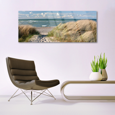 Image sur verre acrylique Sentier herbe mer paysage brun bleu vert
