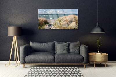Image sur verre acrylique Sentier herbe mer paysage brun bleu vert