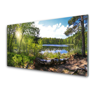 Image sur verre acrylique Lac forestier nature brun vert