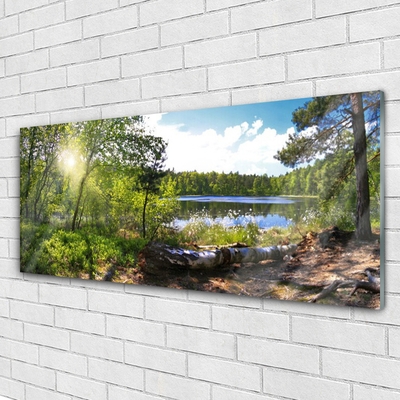 Image sur verre acrylique Lac forestier nature brun vert