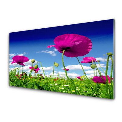 Image sur verre acrylique Fleurs prairie nature rouge vert