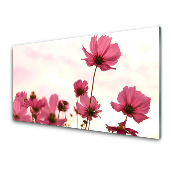 Image sur verre acrylique Fleurs floral rose