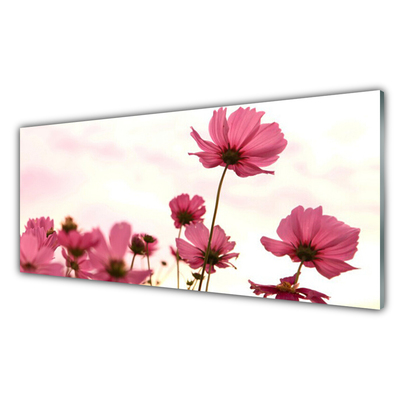 Image sur verre acrylique Fleurs floral rose