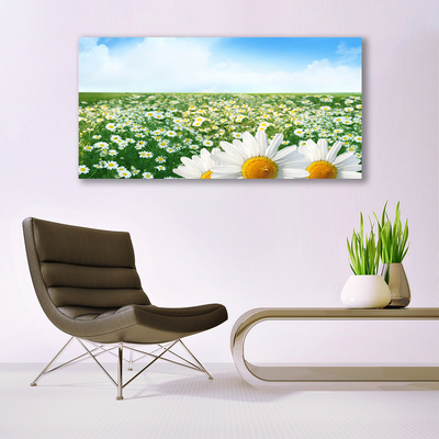 Image sur verre acrylique Marguerite prairie floral vert blanc jaune