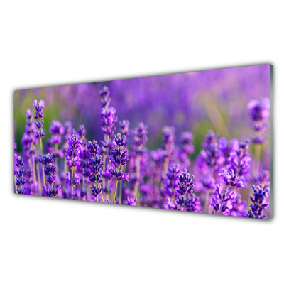 Image sur verre acrylique Fleurs floral violet