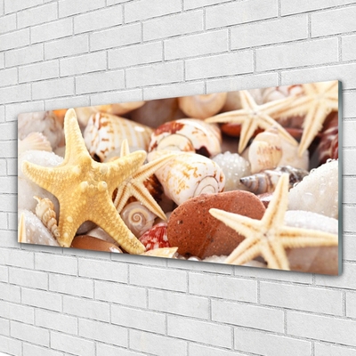 Image sur verre acrylique Coquilles étoile de mer art jaune blanc brun