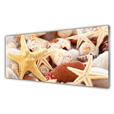 Image sur verre acrylique Coquilles étoile de mer art jaune blanc brun