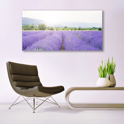 Image sur verre acrylique Fleurs prairie nature violet