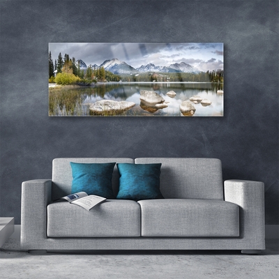 Image sur verre acrylique Montagnes forêt lac paysage gris brun vert